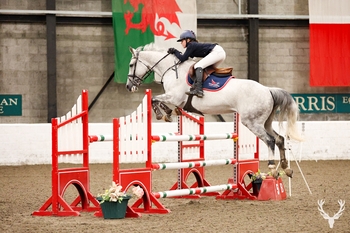 Honey Bowes lands the top HOYS ticket in the Blue Chip Pony Newcomers Second Round at The Daimler Foundation Morris Equestrian Centre